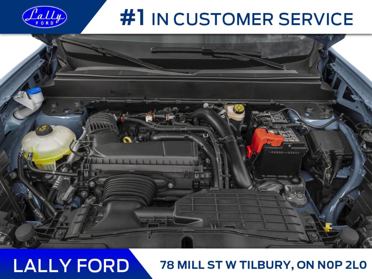 2026 Ford Maverick XLT AWD SuperCrew Photo