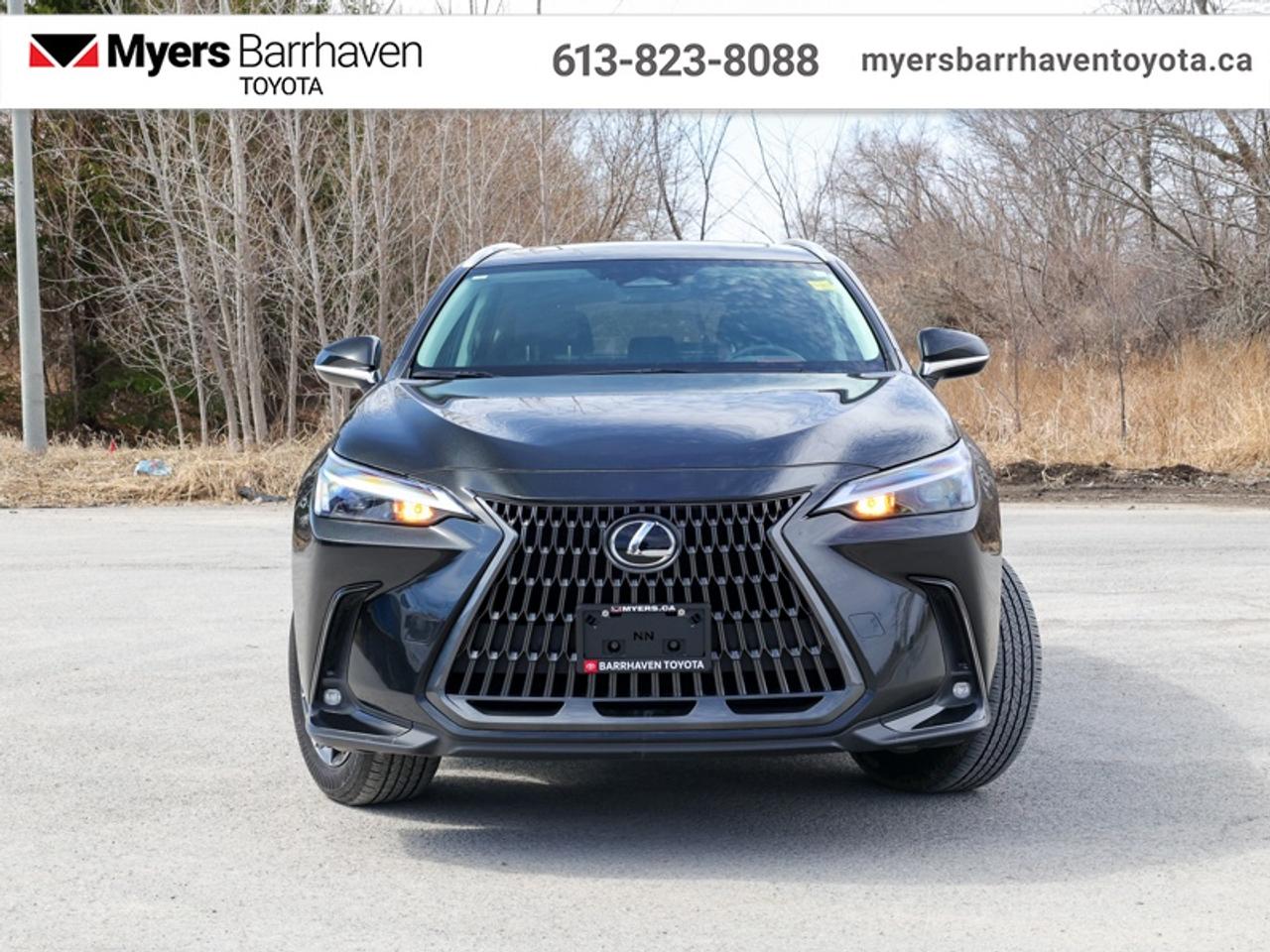 2025 Lexus NX 350  - Sunroof -  Navigation -  Cooled Seats - $361 B/W Photo