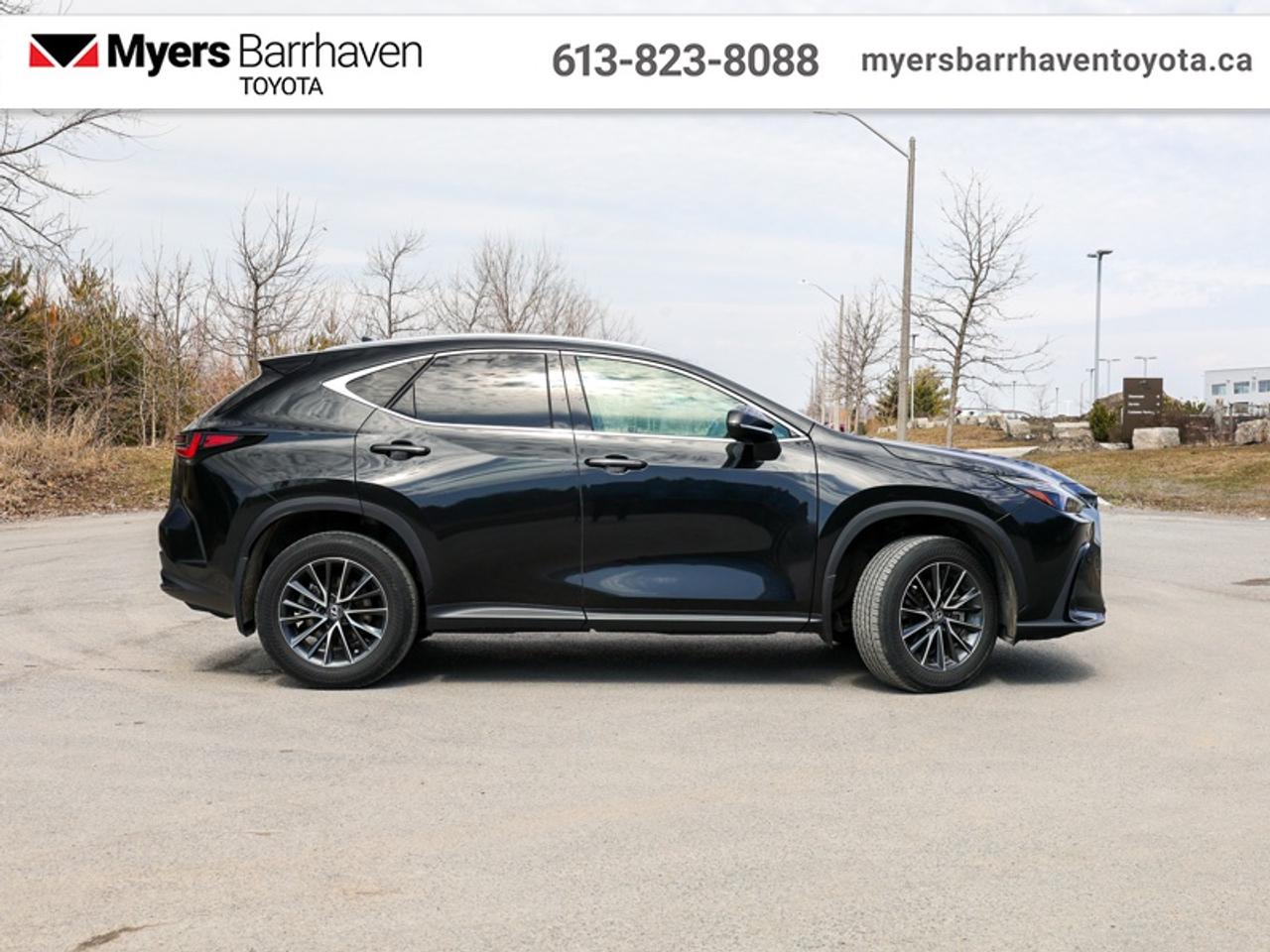 2025 Lexus NX 350  - Sunroof -  Navigation -  Cooled Seats - $361 B/W Photo