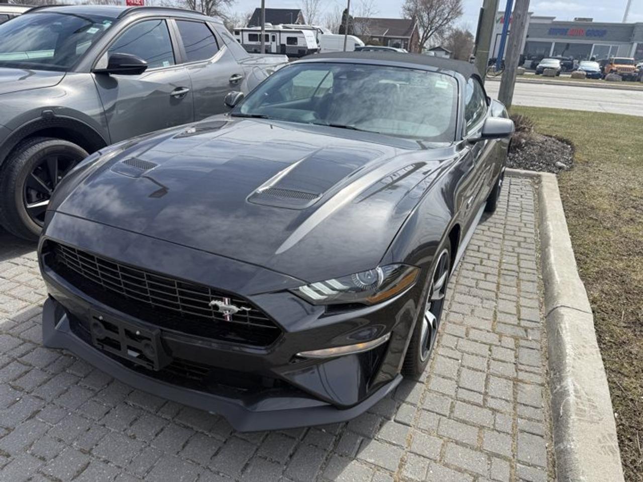 Used 2022 Ford Mustang EcoBoost Premium | 330HP | High Performance Pkg | Leather | Active Valve Exhaust | and More ! for sale in Guelph, ON