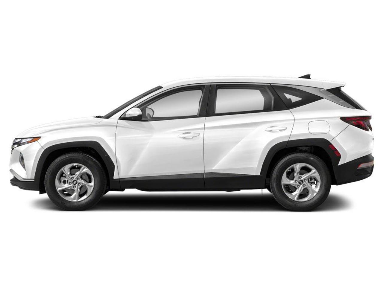 2023 Hyundai Tucson N Line Photo