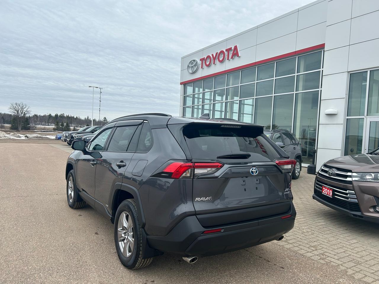 2023 Toyota RAV4 Hybrid XLE Photo