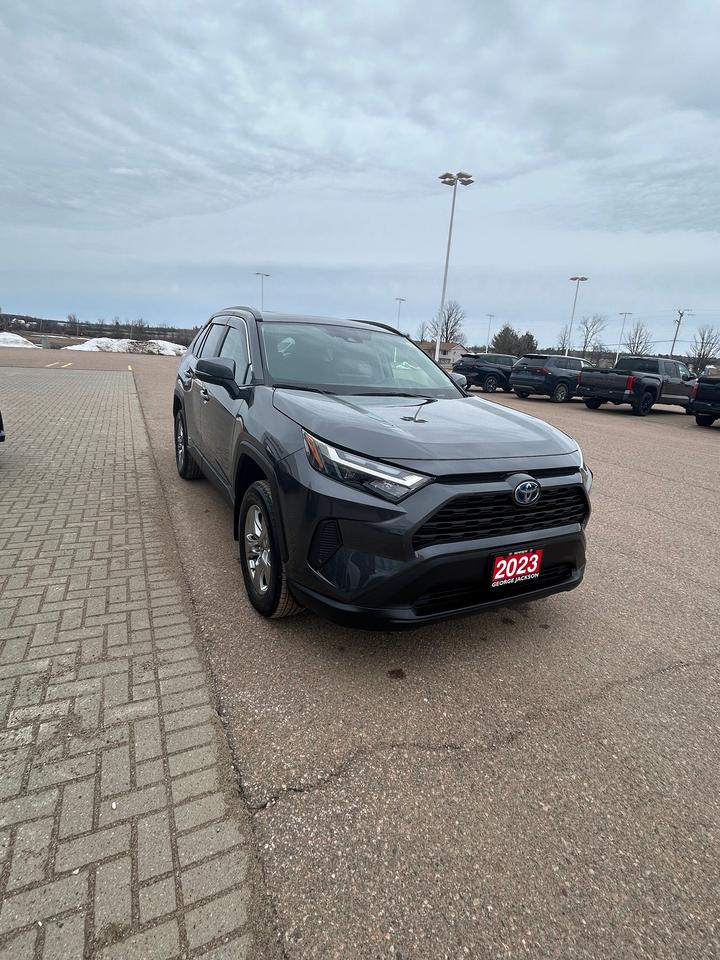 2023 Toyota RAV4 Hybrid XLE Photo