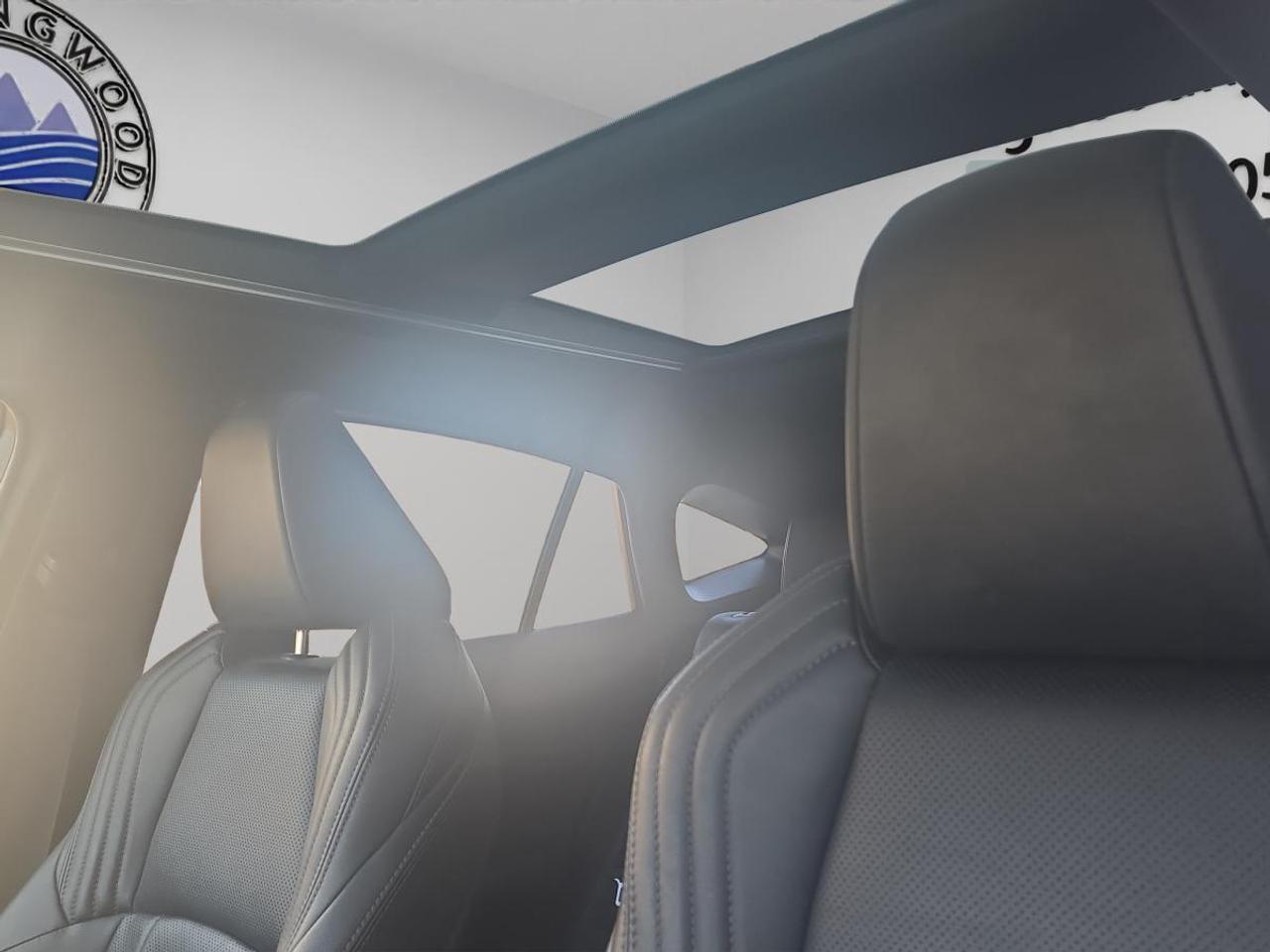 2021 Toyota Venza LIMITED Photo