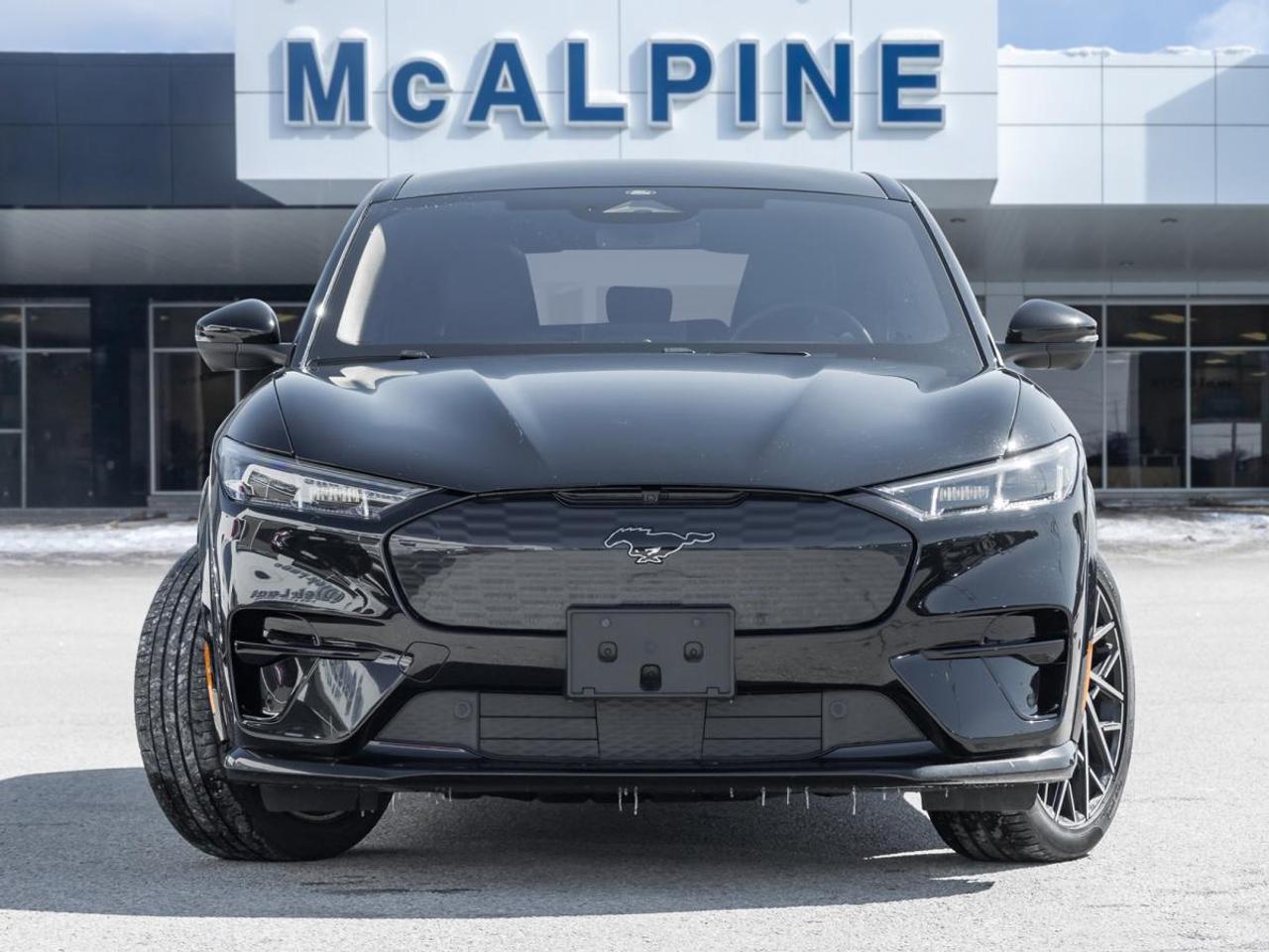 2022 Ford Mustang Mach-E Gt Performance Photo