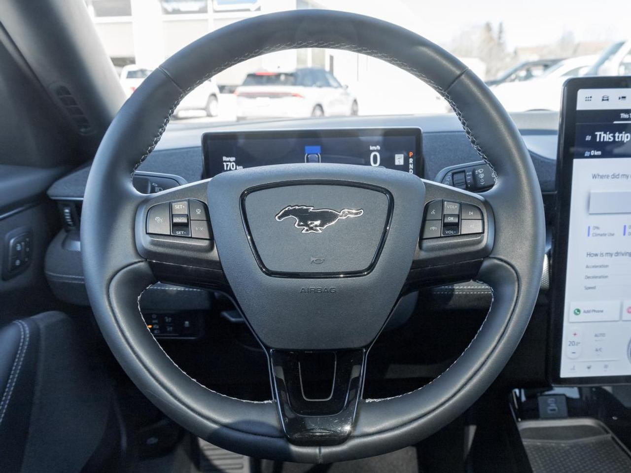 2022 Ford Mustang Mach-E Gt Performance Photo