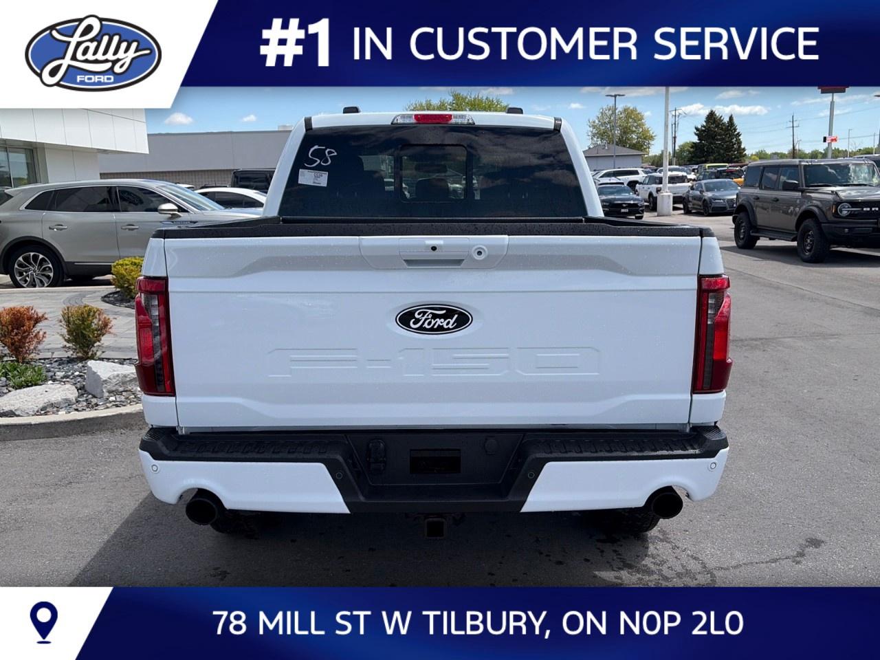 2026 Ford F-150 XLT 4WD SuperCrew 5.5' Box Photo4