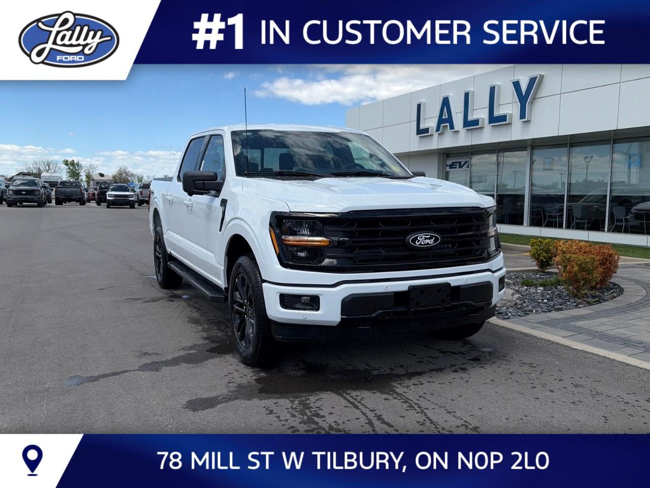 2026 Ford F-150 XLT 4WD SuperCrew 5.5' Box Photo