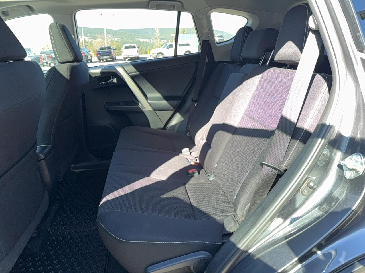 2017 Toyota RAV4 XLE Photo
