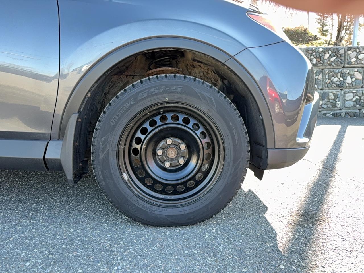 2017 Toyota RAV4 XLE Photo