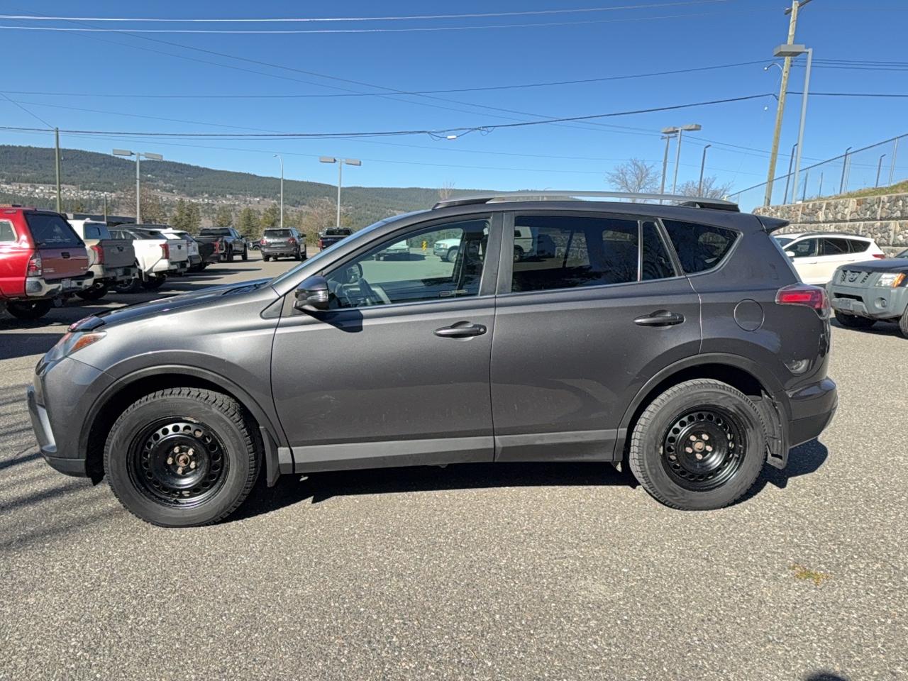 2017 Toyota RAV4 XLE Photo