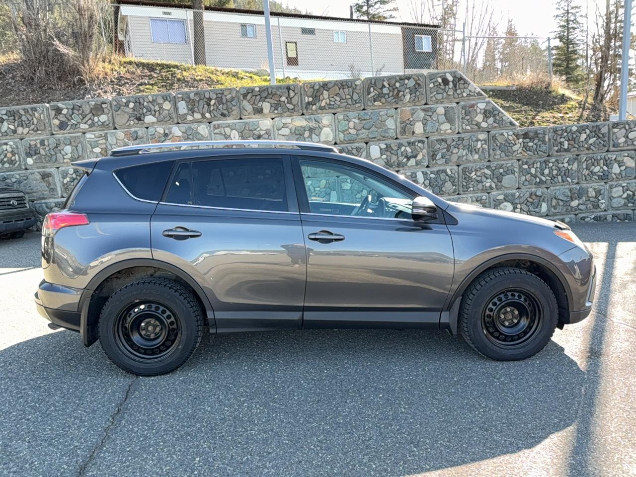 2017 Toyota RAV4 XLE Photo