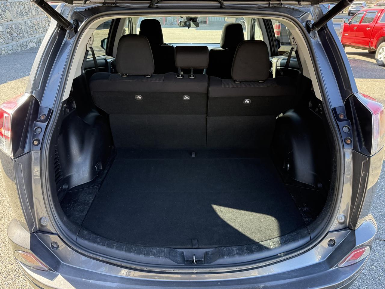 2017 Toyota RAV4 XLE Photo
