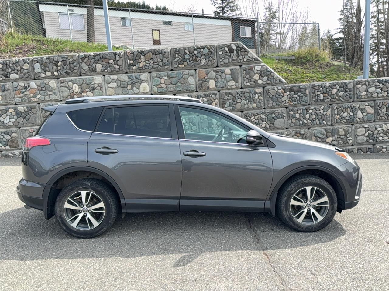2017 Toyota RAV4 XLE Photo