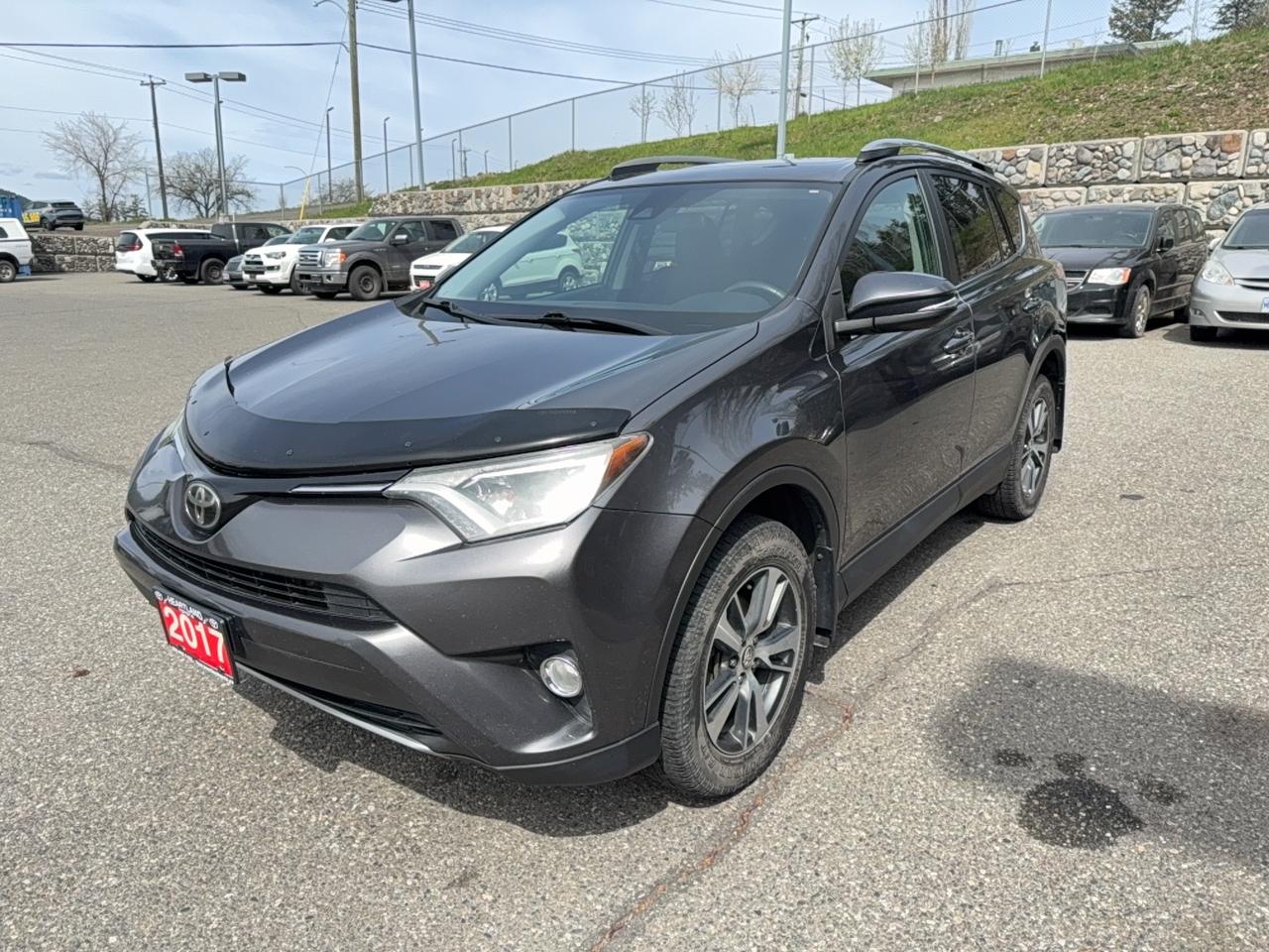 2017 Toyota RAV4 XLE Photo