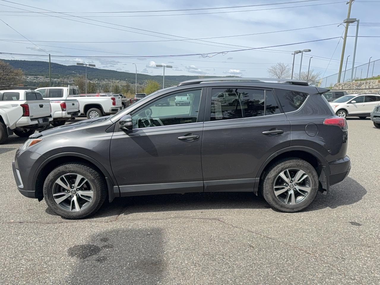 2017 Toyota RAV4 XLE Photo3