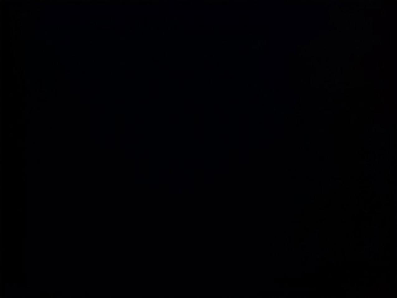13848096