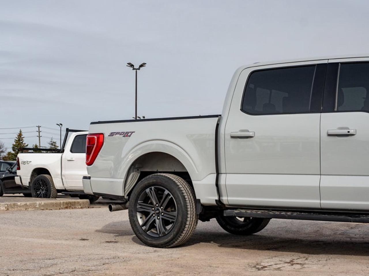 2023 Ford F-150 XL Photo