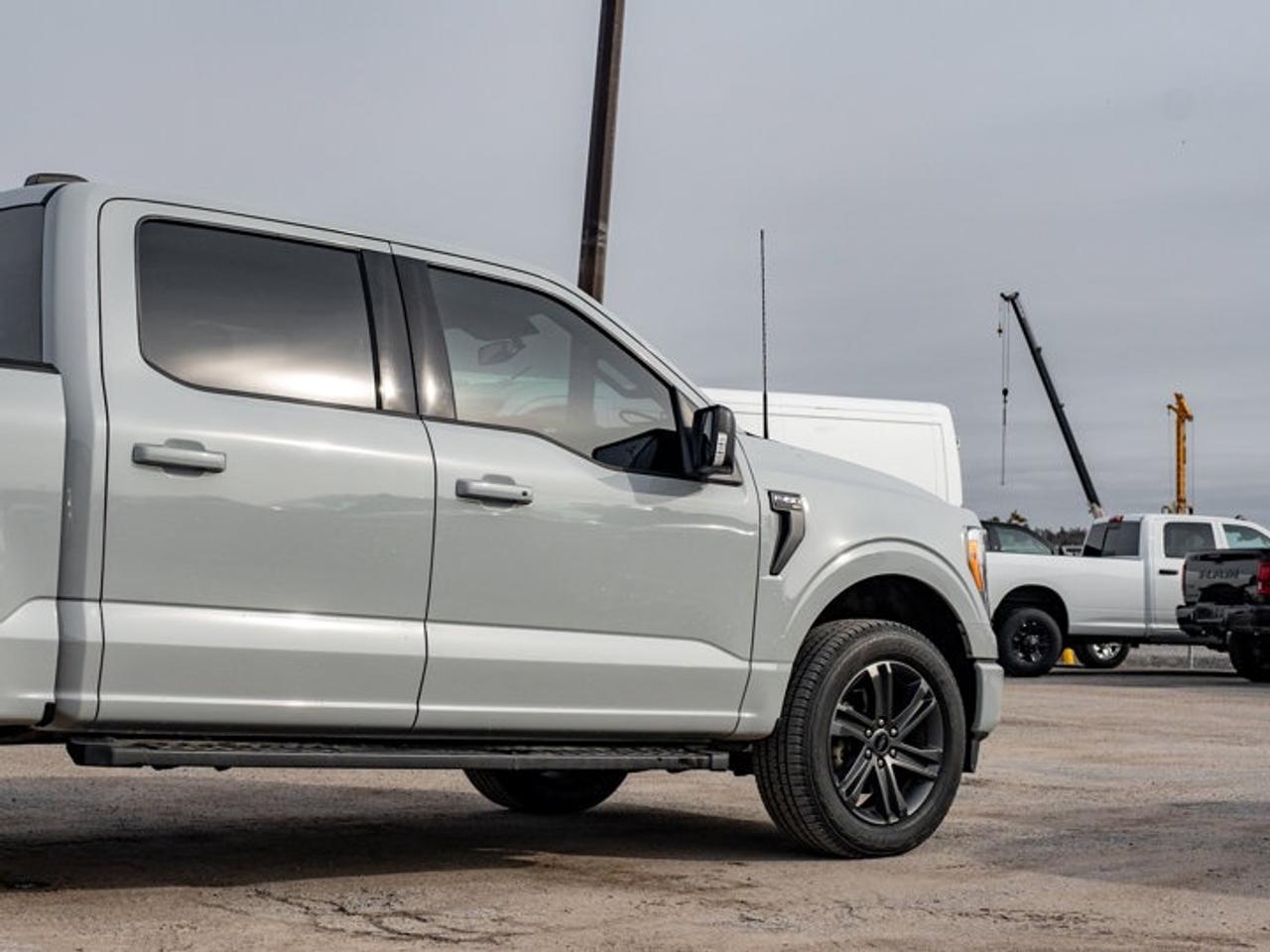 2023 Ford F-150 XL Photo