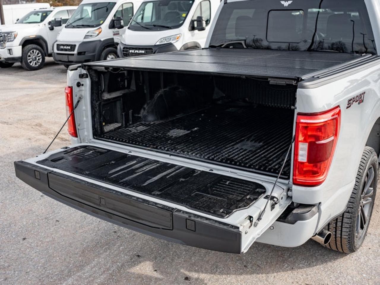 2023 Ford F-150 XL Photo