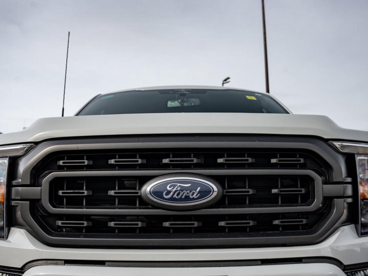 2023 Ford F-150 XL Photo