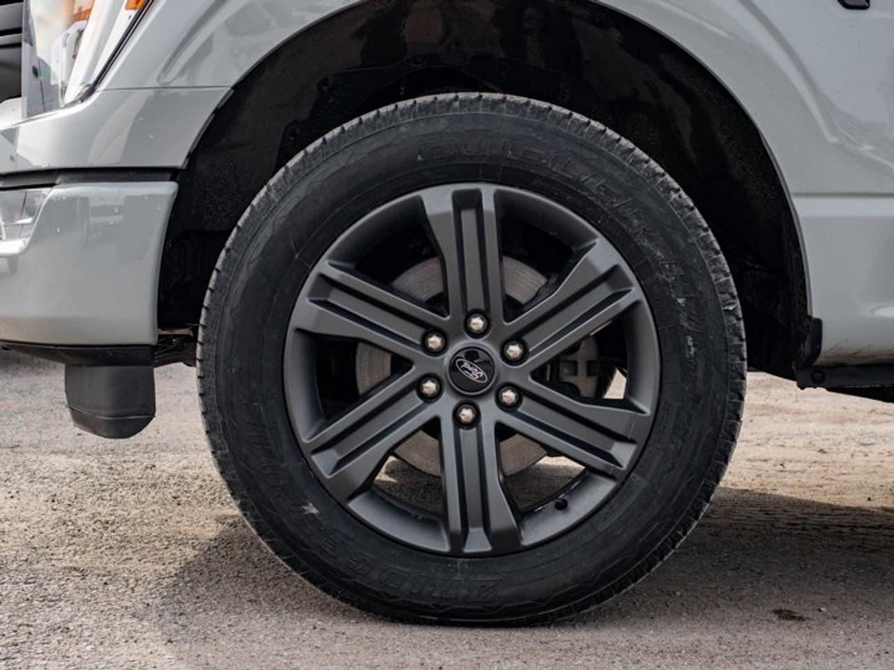 2023 Ford F-150 XL Photo