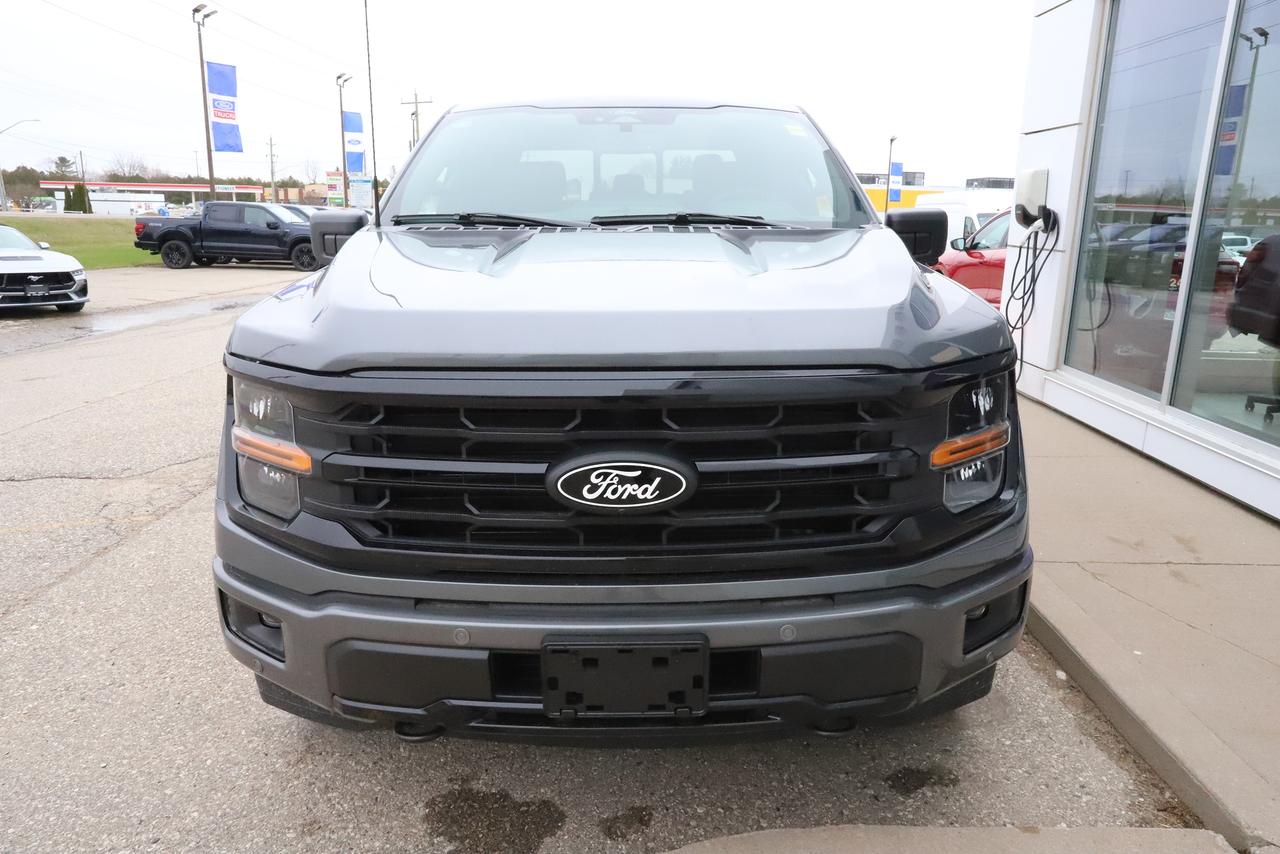 2026 Ford F-150 XLT 4WD SuperCrew 6.5' Box Photo