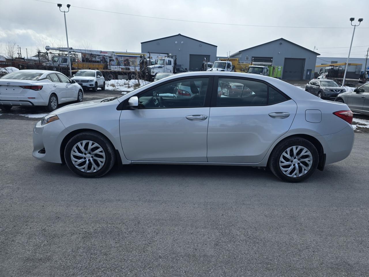 2018 Toyota Corolla  Photo