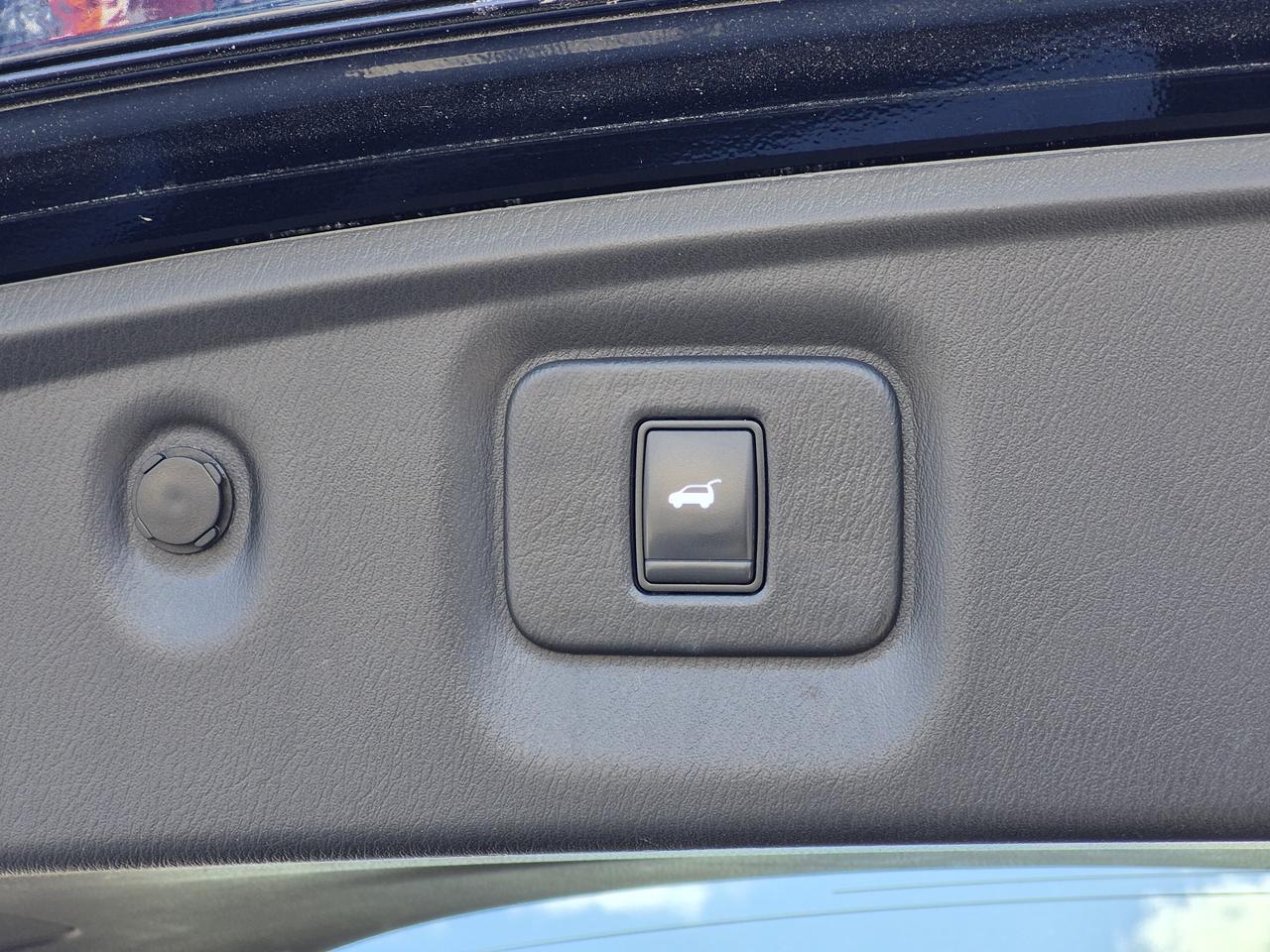 2020 Infiniti QX60 LUXE Photo