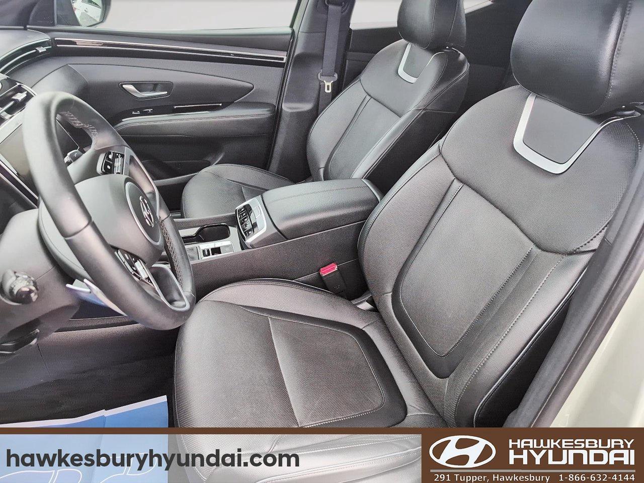 2024 Hyundai Santa Cruz Ultimate Photo