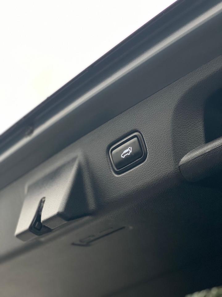 2020 Hyundai PALISADE LUXURY | LEATHER | SUNROOF Photo