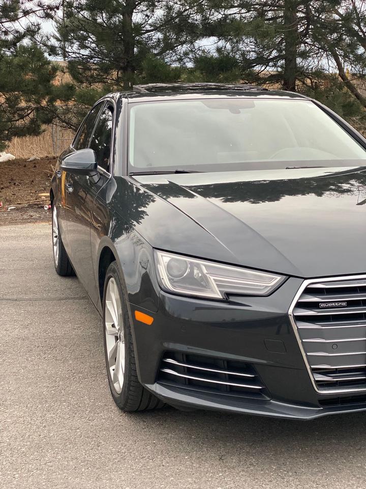 2017 Audi A4 Quattro Progressiv | NO ACCIDENT | SUNROOF | LEATH Photo