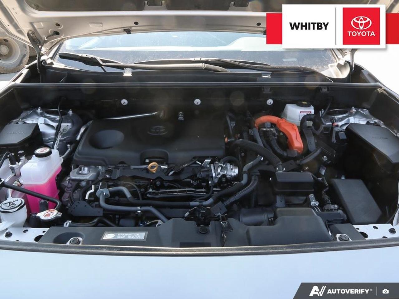 2023 Toyota RAV4 Hybrid XLE 2.5L Photo