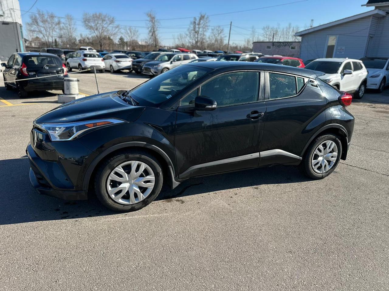 2019 Toyota C-HR XLE Photo