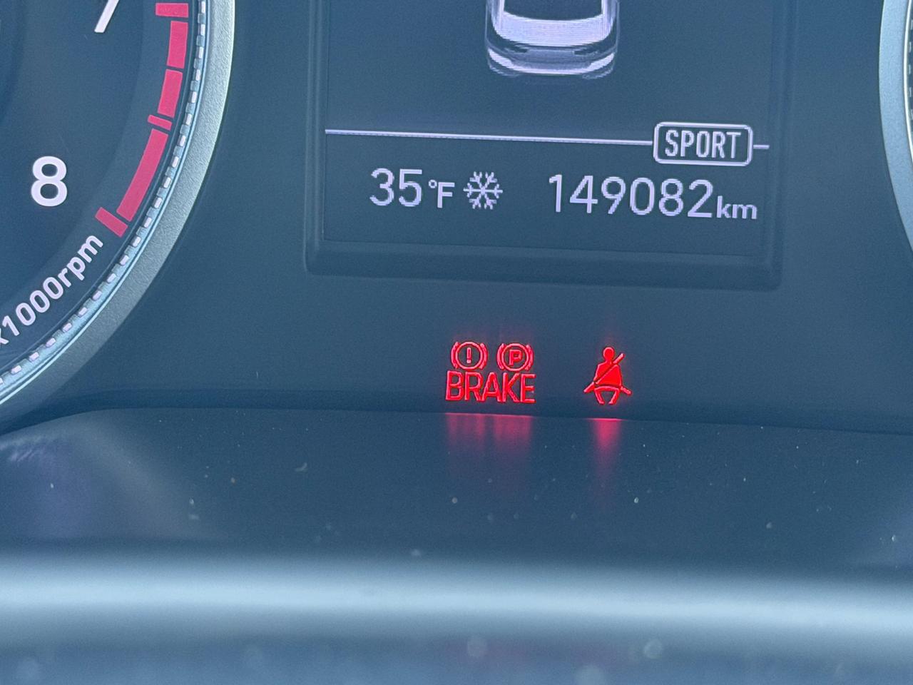 2019 Toyota C-HR XLE Photo