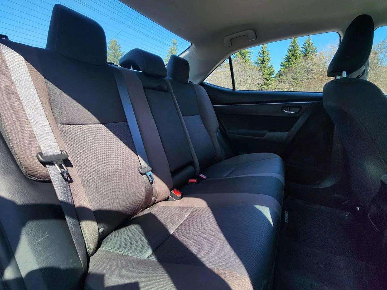 2019 Toyota Corolla LE ECO | No Accidents! Photo