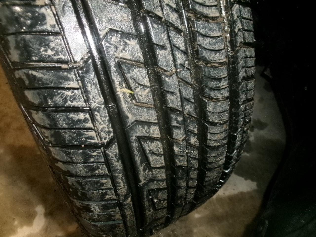 2013 Volkswagen Tiguan S Photo