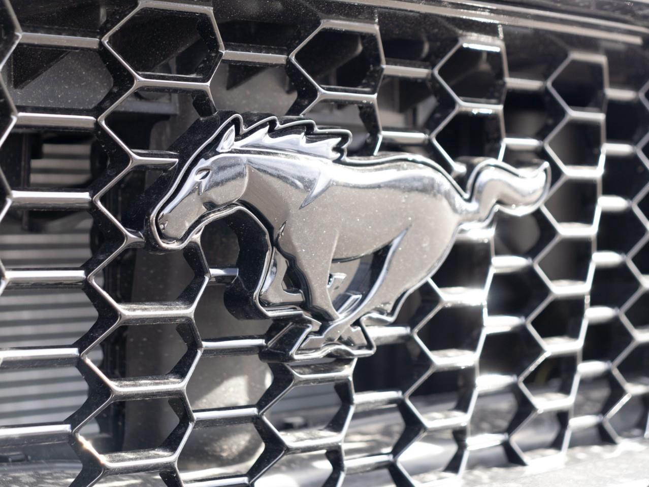 2024 Ford Mustang GT Premium 2dr Fastback Photo