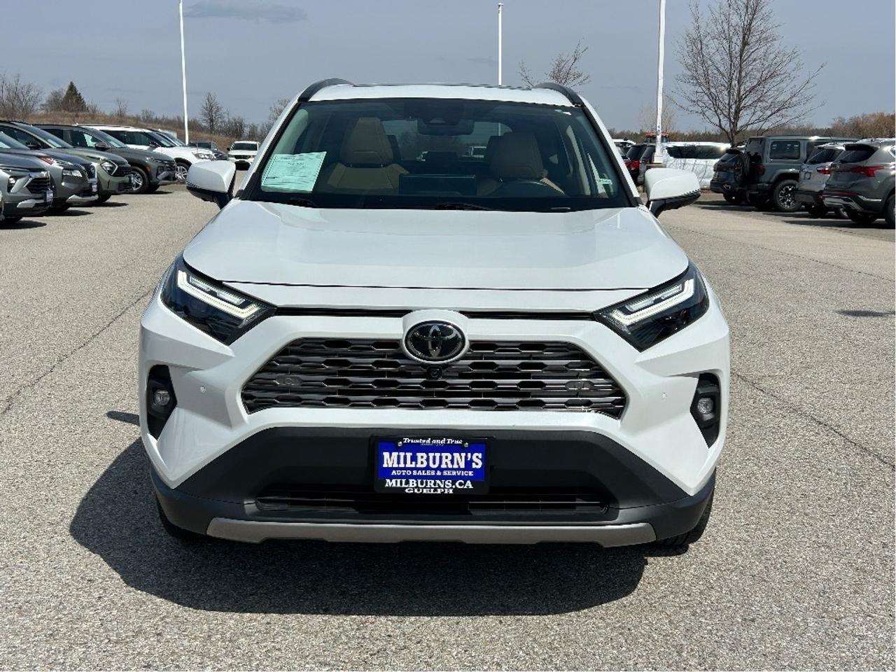 2024 Toyota RAV4 Limited AWD   Sunroof  Leather Heated/Cooled Seats Photo