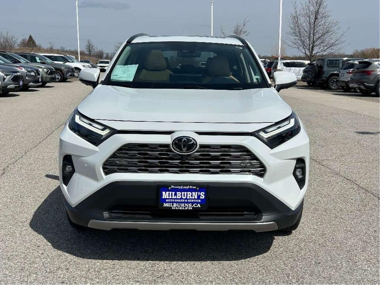 2024 Toyota RAV4 Limited AWD   Sunroof  Leather Heated/Cooled Seats Photo