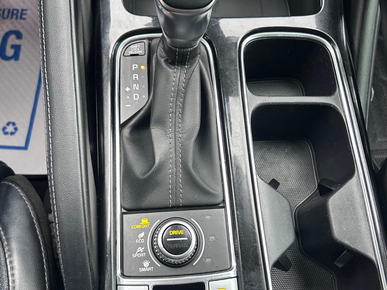 2021 Kia Telluride SX Limited 4dr All-Wheel Drive Photo