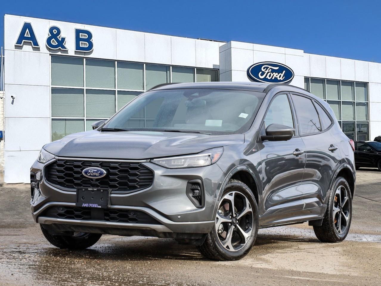 2025 Ford Escape ST-Line Elite 4dr All-Wheel Drive Photo