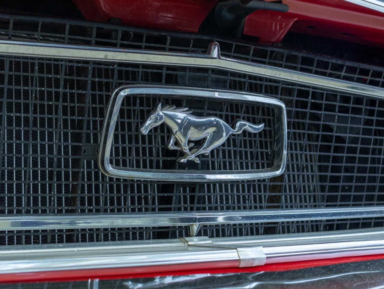 1968 Ford Mustang  Photo