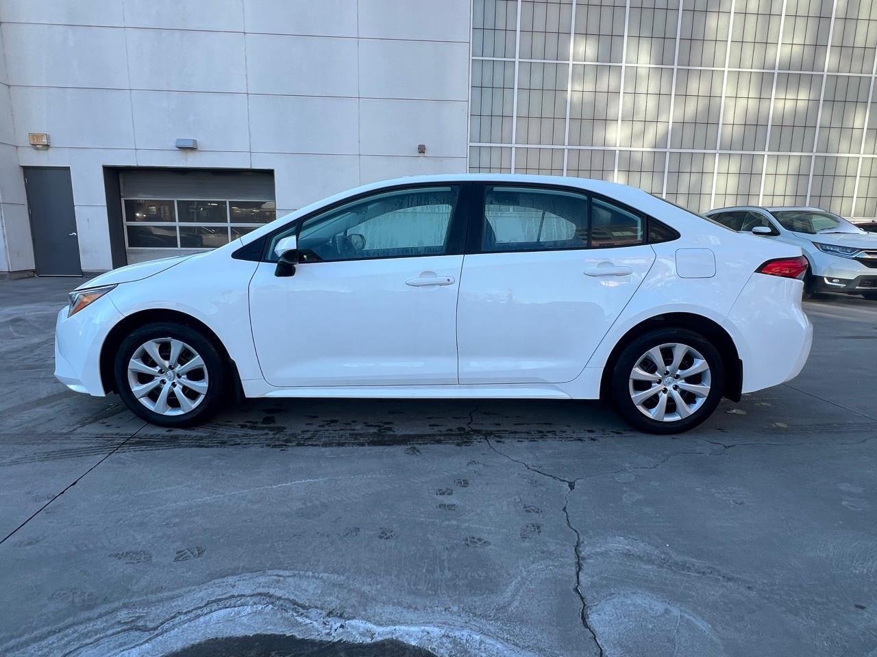 2022 Toyota Corolla  Photo