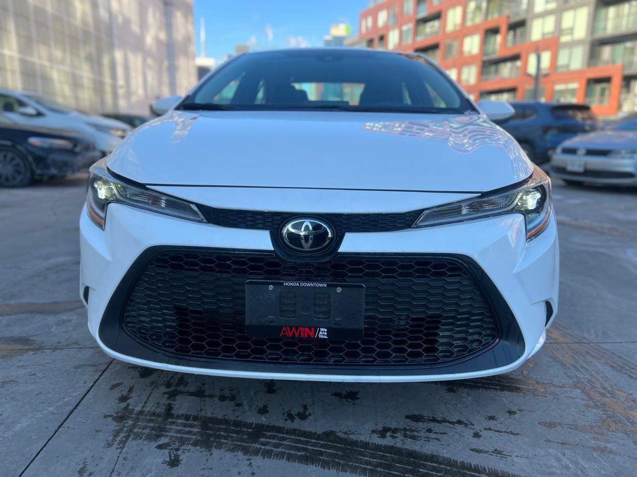 2022 Toyota Corolla  Photo