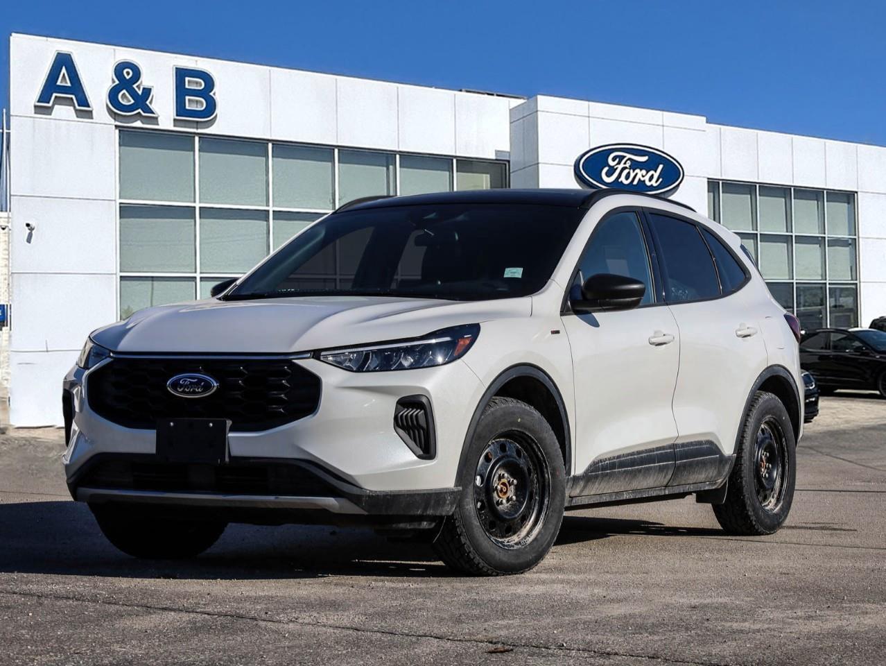 2025 Ford Escape ST-Line 4dr All-Wheel Drive Photo0