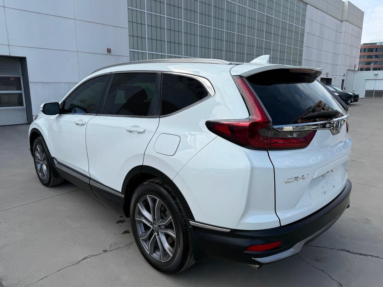 2020 Honda CR-V  Photo
