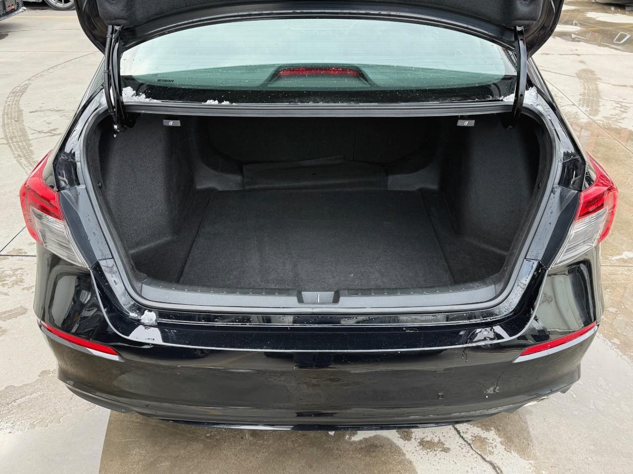 2023 Honda Civic  Photo