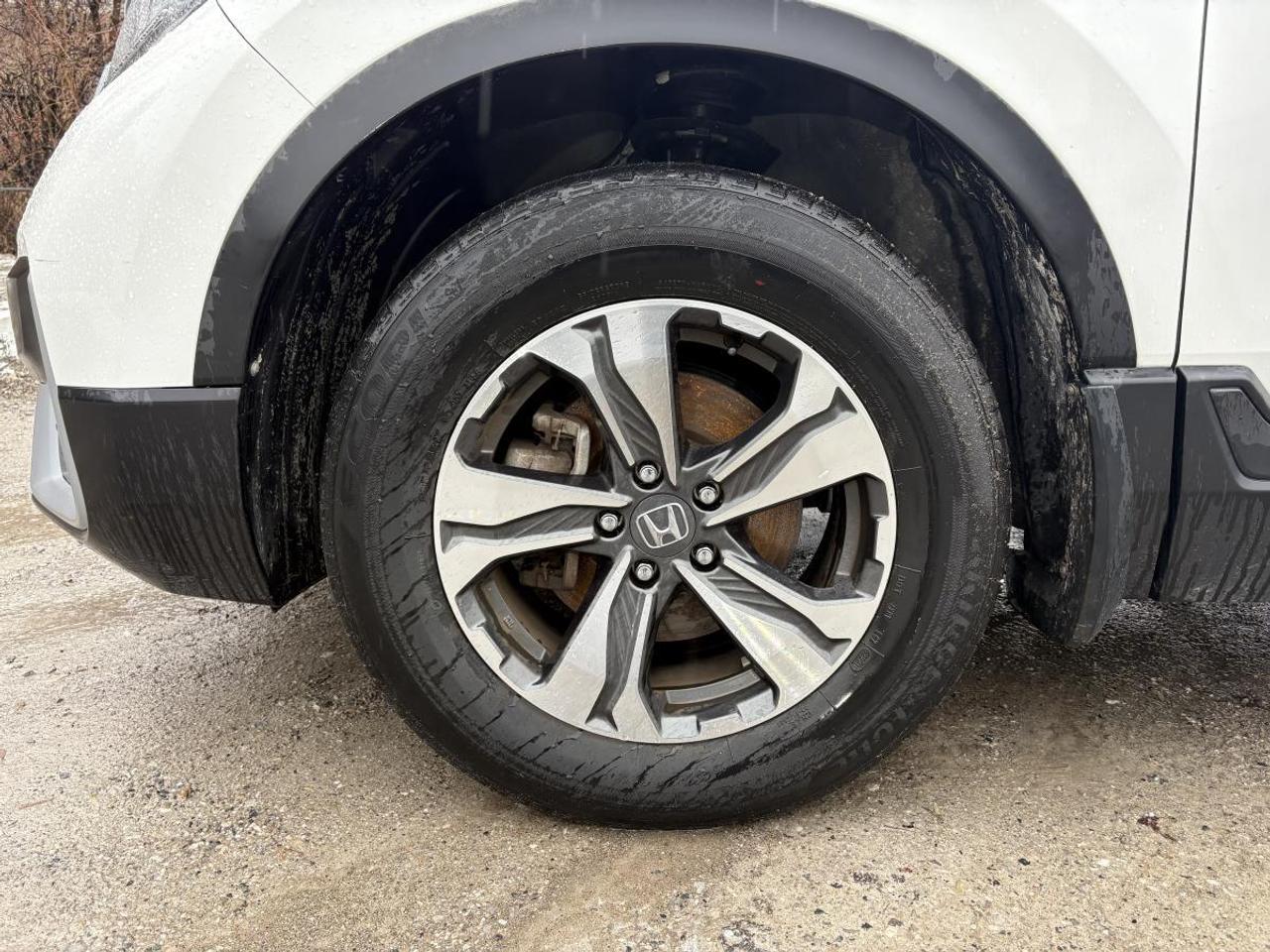 2021 Honda CR-V LX AWD Clean Carfax/One Owner Photo