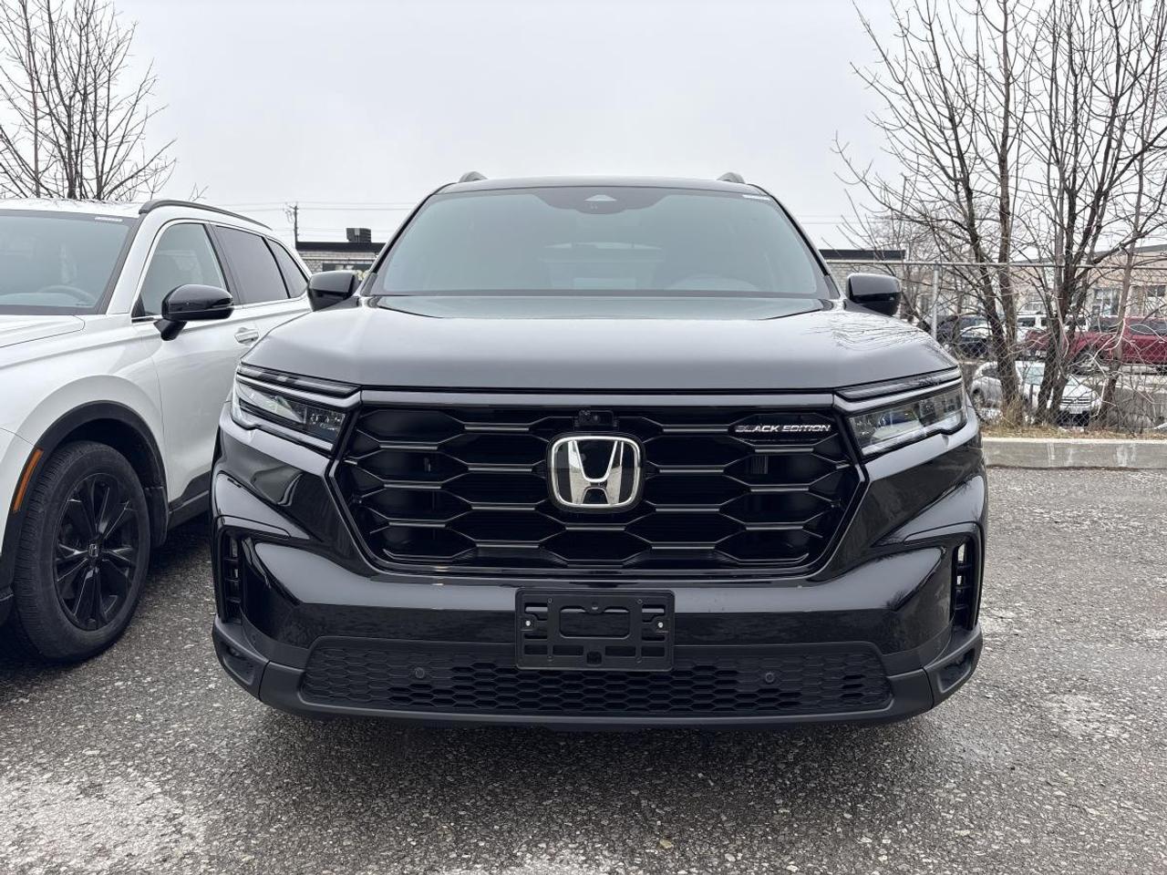 2025 Honda Pilot Black Edition Honda Certified 7YR/160K Warranty Photo